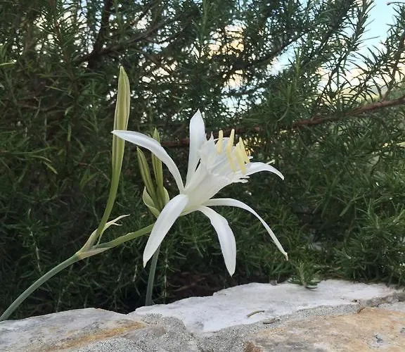 Ca\' Di Bianca