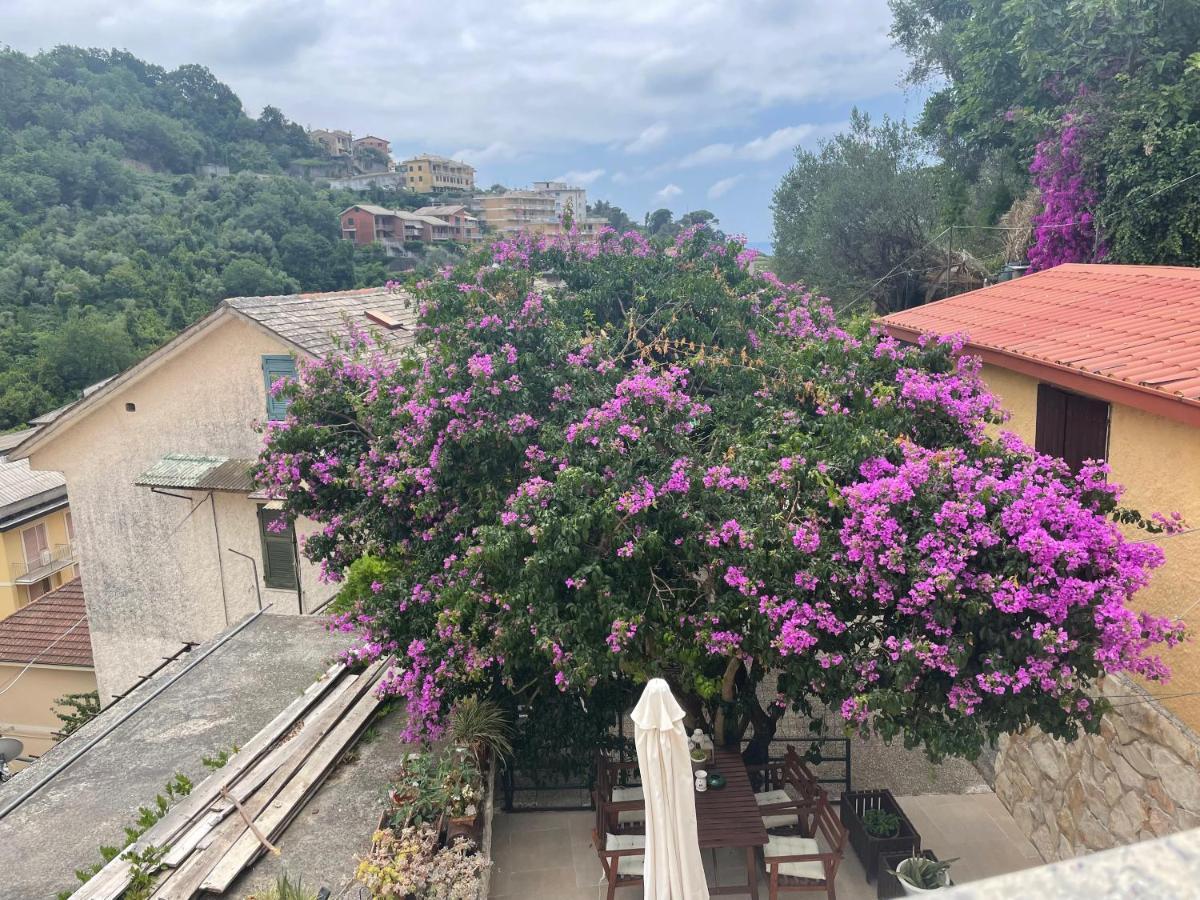 Maison d'hôtes Ca' Di Bianca