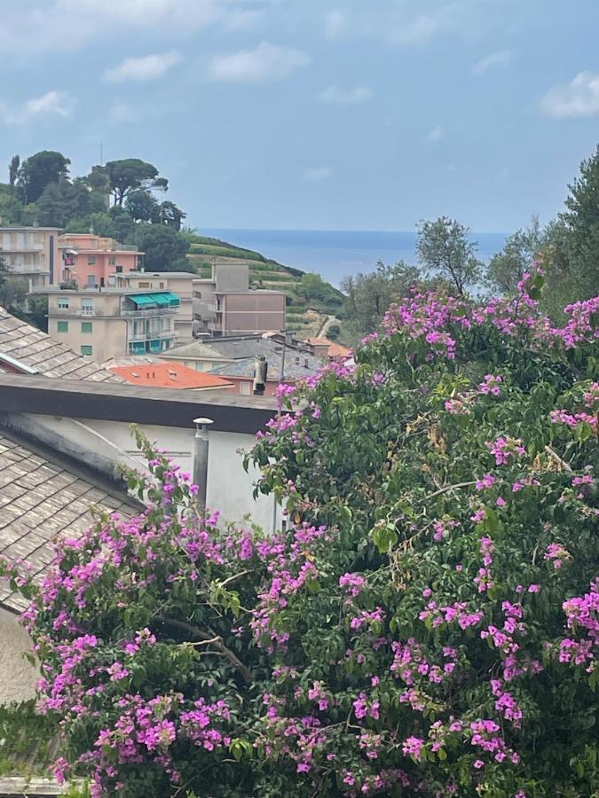 Maison d'hôtes Ca' Di Bianca