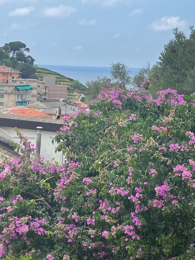 Ca' Di Bianca