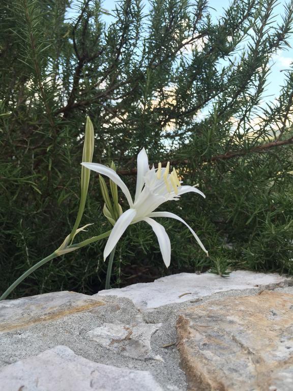 Ca' Di Bianca Maison d'hôtes *